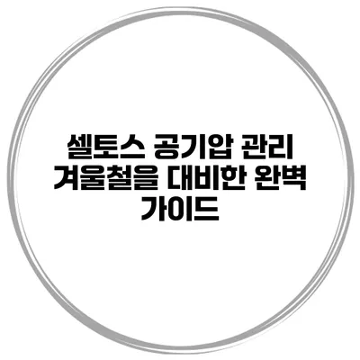 셀토스 공기압 관리: 겨울철을 대비한 완벽 가이드