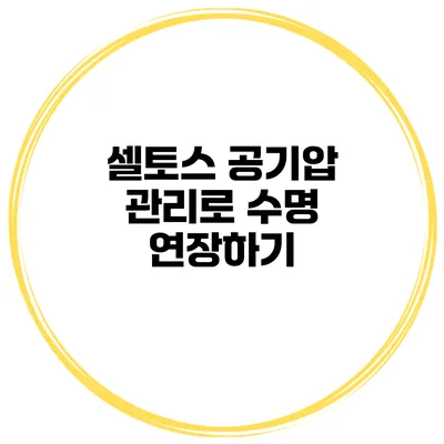 셀토스 공기압 관리로 수명 연장하기