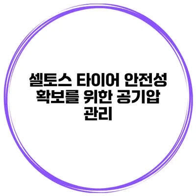 셀토스 타이어 안전성 확보를 위한 공기압 관리