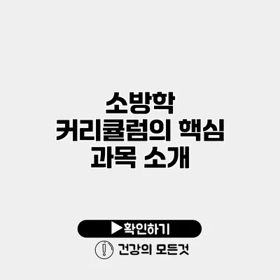 소방학 커리큘럼의 핵심 과목 소개
