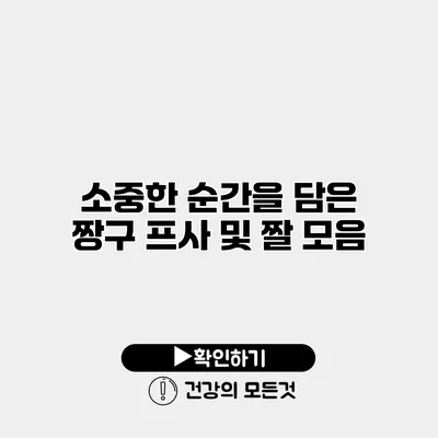 소중한 순간을 담은 짱구 프사 및 짤 모음