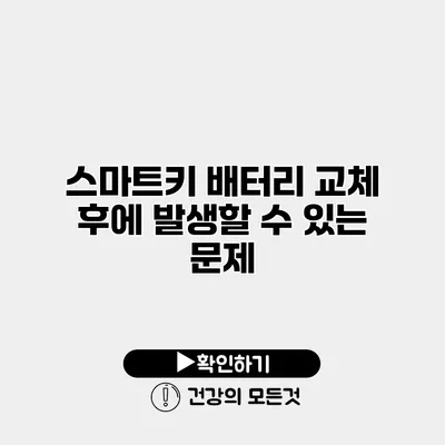 스마트키 배터리 교체 후에 발생할 수 있는 문제