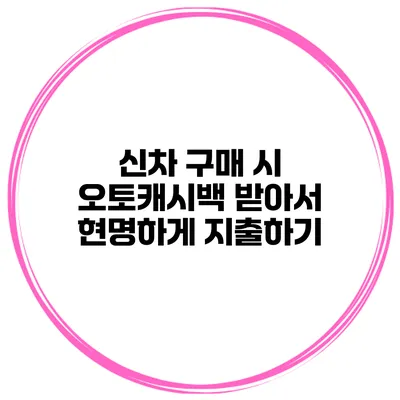 신차 구매 시 오토캐시백 받아서 현명하게 지출하기