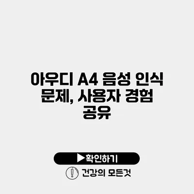 아우디 A4 음성 인식 문제, 사용자 경험 공유