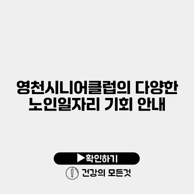영천시니어클럽의 다양한 노인일자리 기회 안내