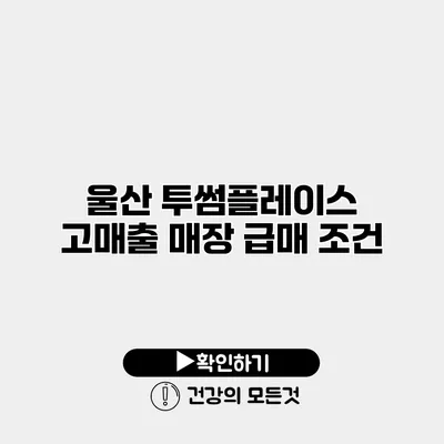 울산 투썸플레이스 고매출 매장 급매 조건