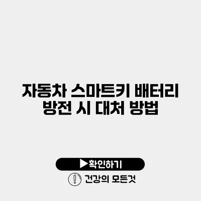 자동차 스마트키 배터리 방전 시 대처 방법