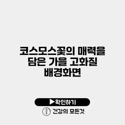 코스모스꽃의 매력을 담은 가을 고화질 배경화면