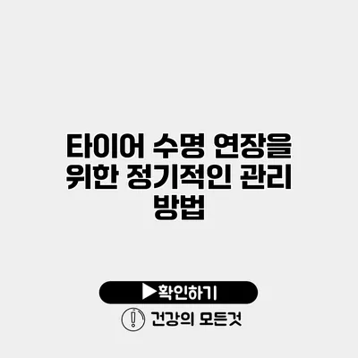 타이어 수명 연장을 위한 정기적인 관리 방법
