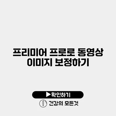 프리미어 프로로 동영상 이미지 보정하기