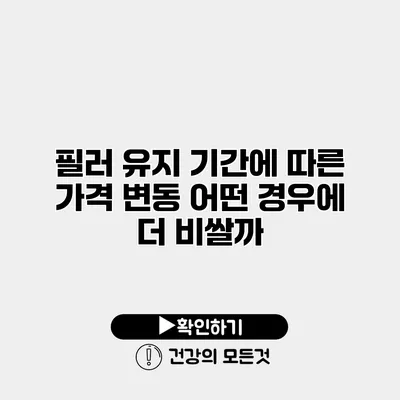필러 유지 기간에 따른 가격 변동 어떤 경우에 더 비쌀까?