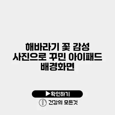 해바라기 꽃 감성 사진으로 꾸민 아이패드 배경화면