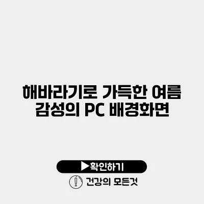 해바라기로 가득한 여름 감성의 PC 배경화면