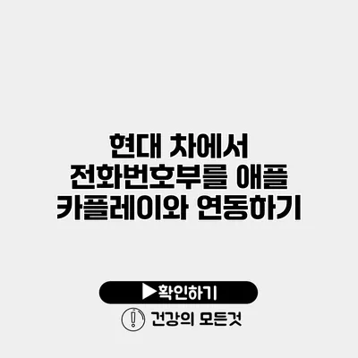 현대 차에서 전화번호부를 애플 카플레이와 연동하기