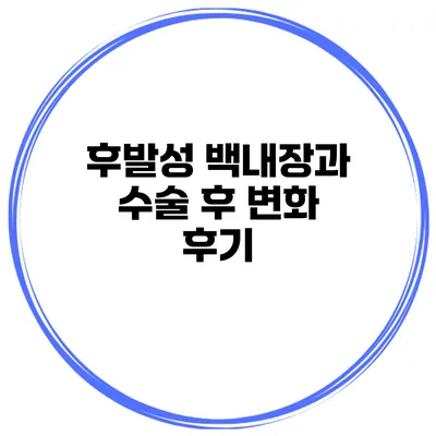 후발성 백내장과 수술 후 변화 후기